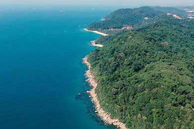 FIFA：冬奥足球值得纪念，墨西哥表现惊艳全球，奥运男足墨西哥对法国